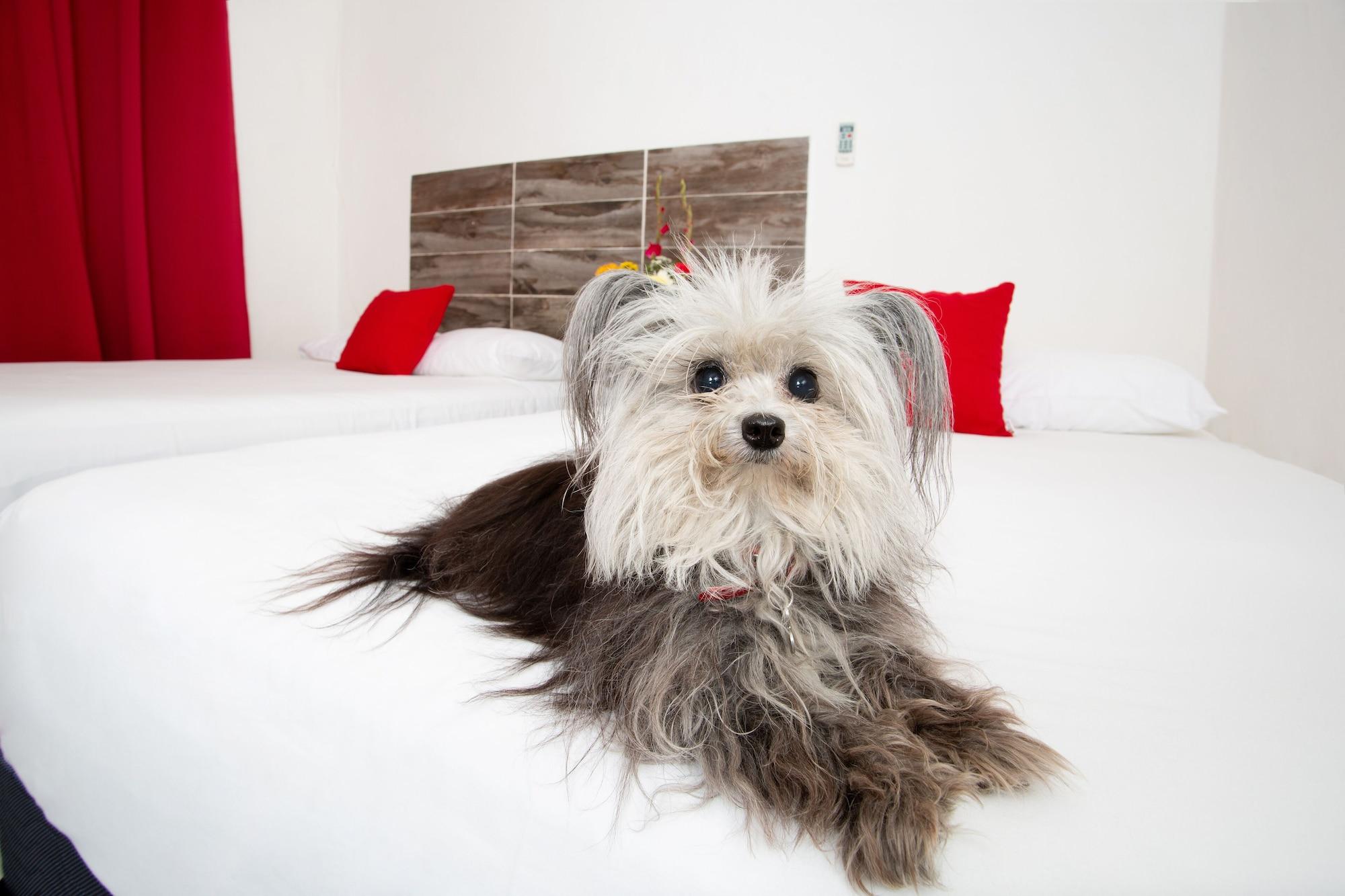 Suite 24 Aparthotel By Xperience Hotels Playa del Carmen Luaran gambar
